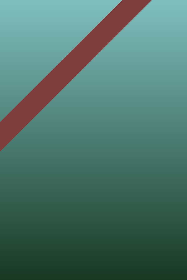Первый канал (мультфильм, 2009) Первый канал (мультфильм, 2009)
